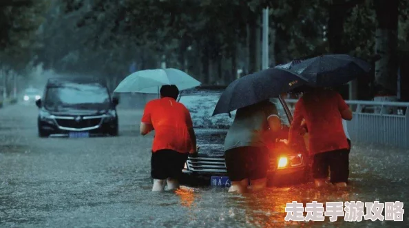 mandingobbcsex大雨落下眼泪成海心中有光勇敢前行希望在明天