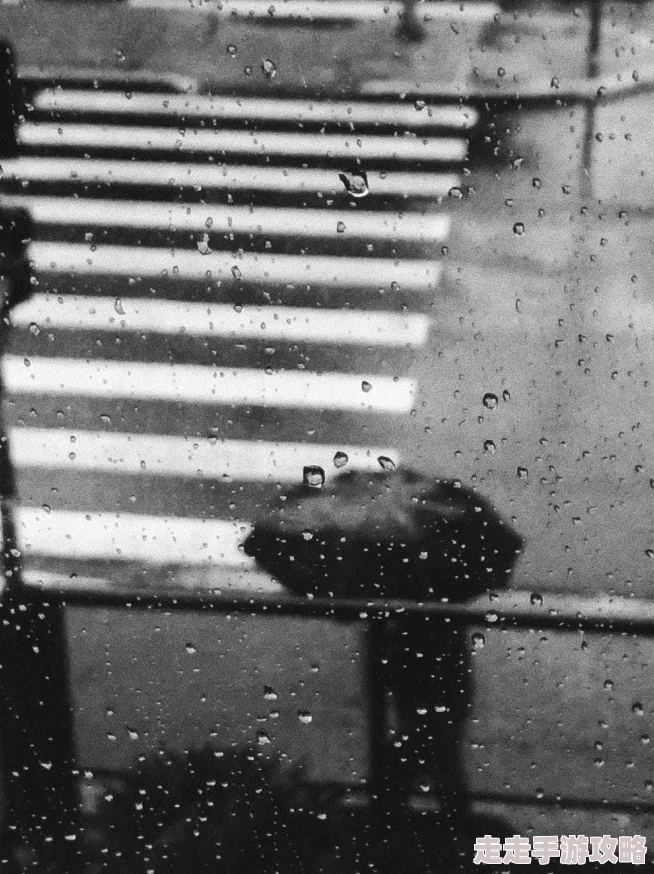 mandingobbcsex大雨落下眼泪成海心中有光勇敢前行希望在明天